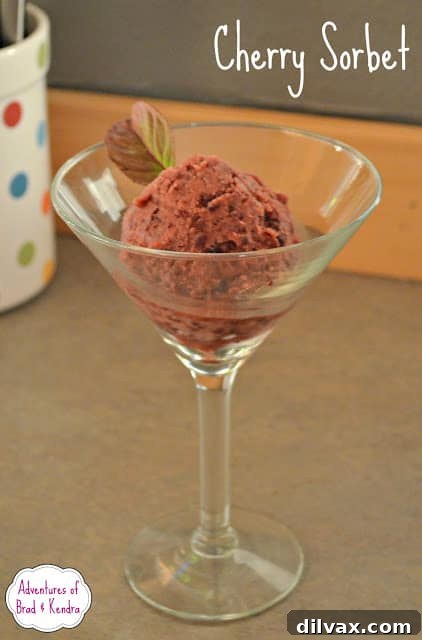 Crimson Cherry Frost Bites 15 Simply {Darr}ling Homemade Dairy-Free Cherry Sorbet or Ice Cream