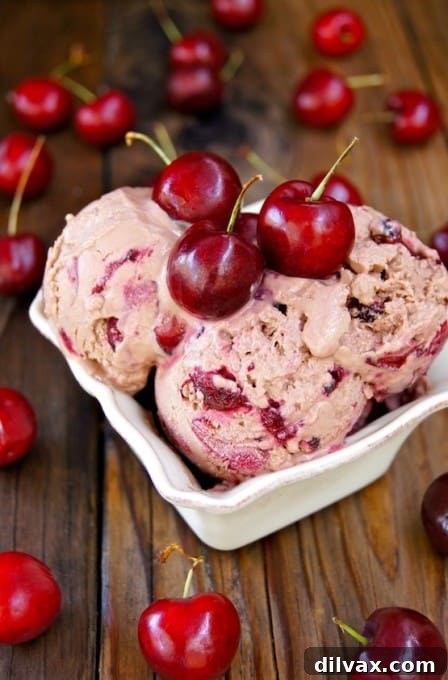 Crimson Cherry Frost Bites 16 Cooking on the Weekends Non-Fat Chocolate Cherry Frozen Yogurt, a healthy and delicious dessert