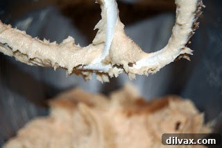Mixing butter, cream cheese, and sugars for cookie dough