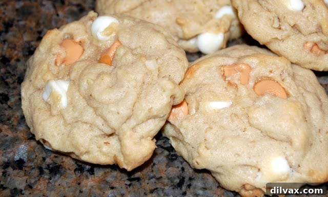 Freshly baked butterscotch cream cheese cookies