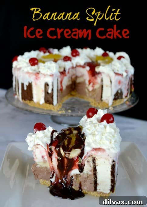 Layers of chocolate and strawberry ice cream, ice cream sandwiches, bananas, chocolate, pineapple and strawberry sundae toppings, and of course, whipped cream and cherries! WOW!