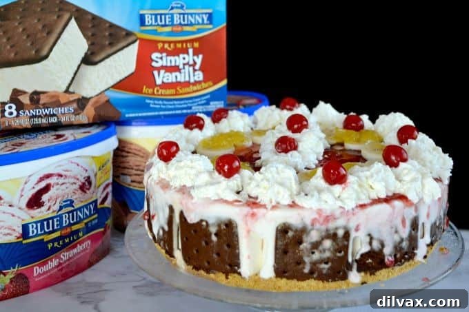 Top view of the assembled Banana Split Ice Cream Cake layers before final freezing