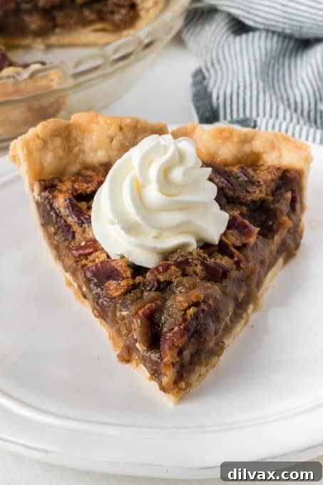 Perfect Pecan Pie 3 A slice of classic Pecan Pie showing the filling and crust.