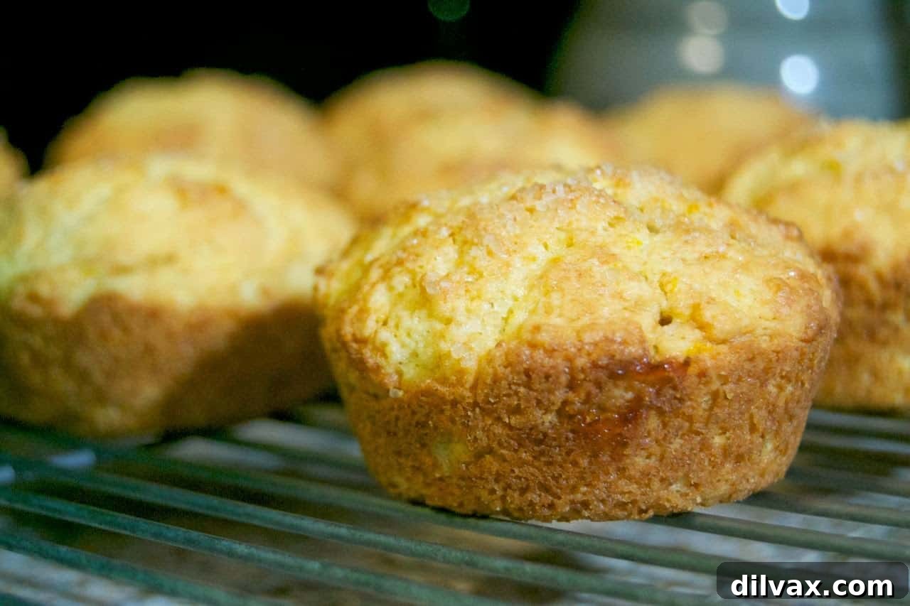 Close-up of baked Orange Ricotta Muffins with strawberry jam showing the tender crumb and golden crust.