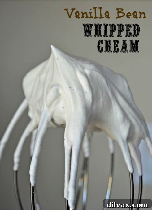 Heavenly Vanilla Bean Cloud 3 Enhance your sweet treats with this simple Vanilla Bean Whipped Cream recipe.