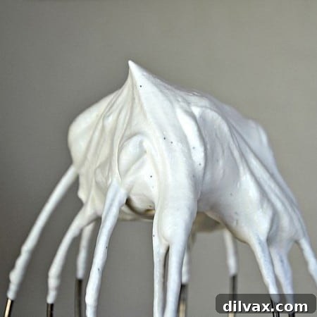 Vanilla Bean Whipped Cream