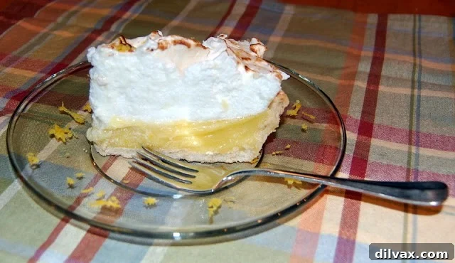 Day 79: Lemon Meringue Pie 8 Slice of Lemon Meringue Pie on a plate