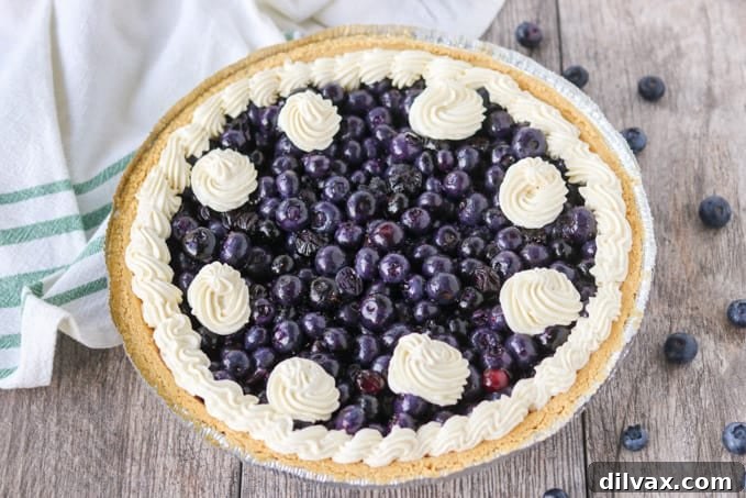 Blueberry Pie with Stabilized Whipped Cream.