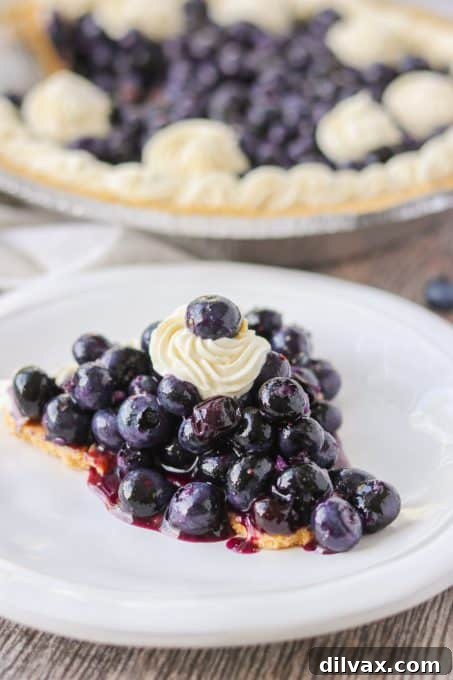 A slice of a No Bake Blueberry Pie.