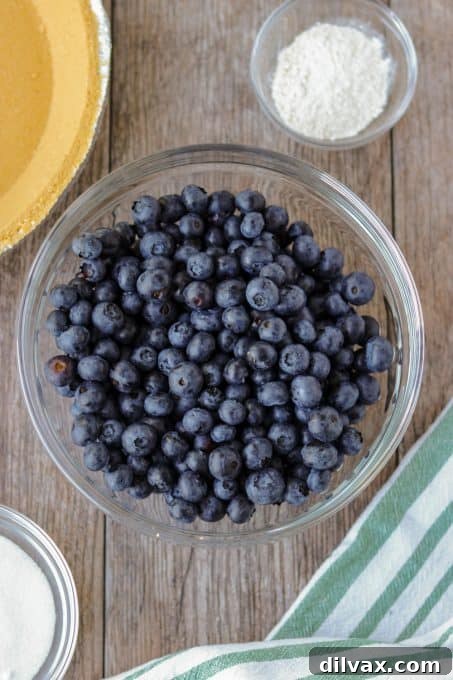 Ingredients to make a No Bake Blueberry Pie.