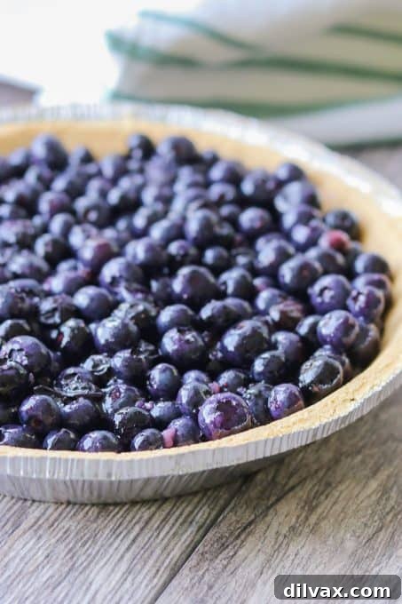 Effortless Blueberry Delight 5 Close-up of the delicious No-Bake Blueberry Pie filling, showing the cooked and fresh blueberries mixed together