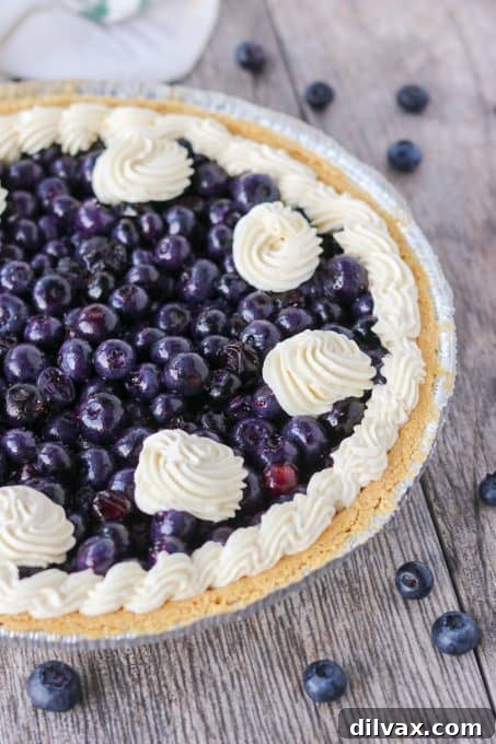 A Blueberry Pie that doesn't require an oven!