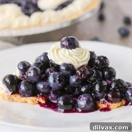 Effortless Blueberry Delight 9 A slice of No Bake Blueberry Pie, showing the layers of crust and filling