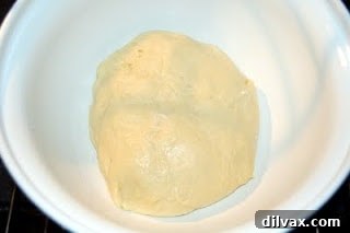 Sweet Golden Braids 6 Challah dough resting in a greased bowl, ready for its first rise.