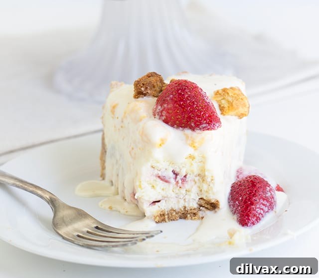 Decadent Strawberry Shortcake Cheesecake hybrid