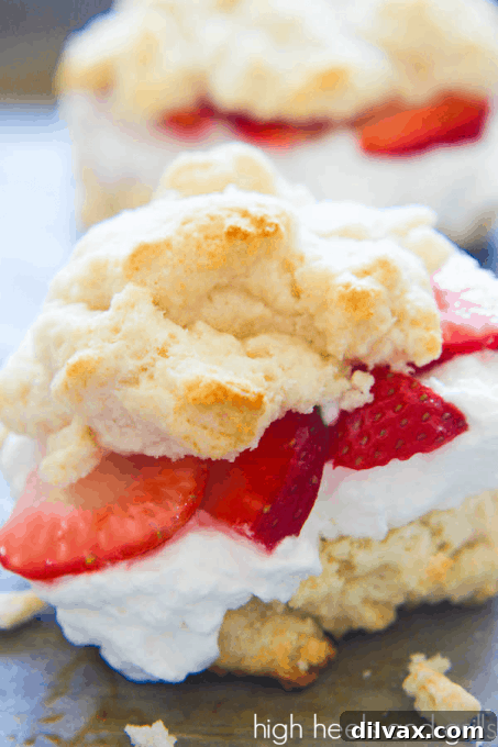 Classic Strawberry Shortcake with whipped cream