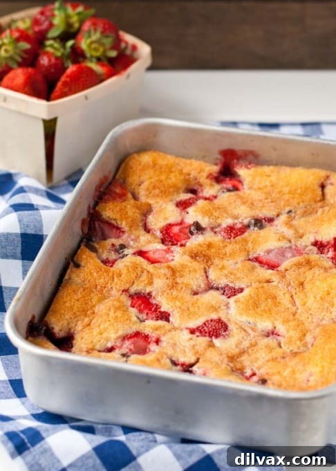 Warm Strawberry Chocolate Chip Cobbler