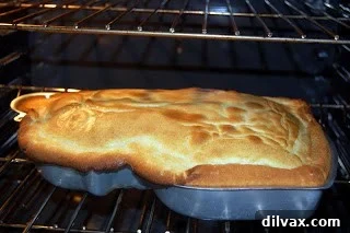 Freshly baked cake in the pan