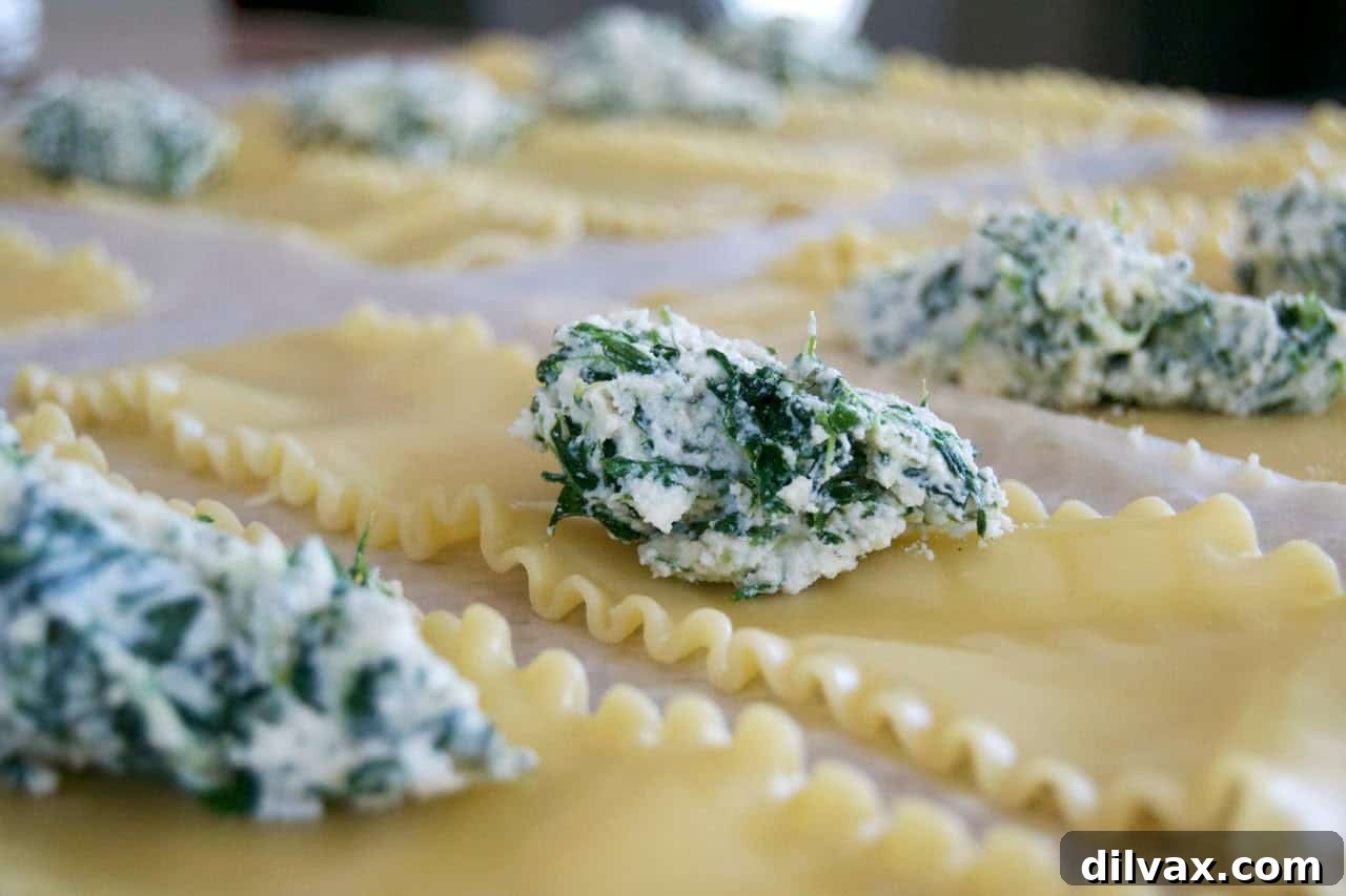 Savory Spinach Ricotta Lasagna Rolls 4 Spinach and cheese filling spread generously on cooked lasagna noodles, ready to be rolled