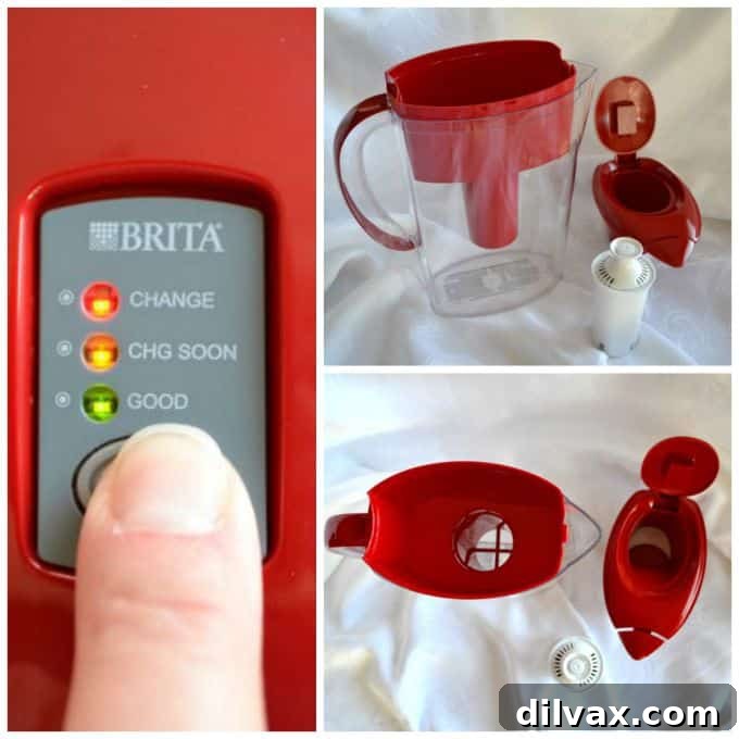 Smart Sips for College Success: Brita 4 Provide your college student with the best hydration experience: Brita filtered water that not only tastes superior but also supports their health and wellness throughout their busy academic schedule. A Brita pitcher is a smart investment in their well-being away from home.