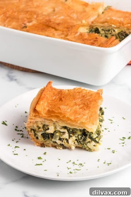 A close-up of a golden, flaky slice of Greek spinach pie, Spanakopita, presented on a simple white plate, inviting a delicious taste.