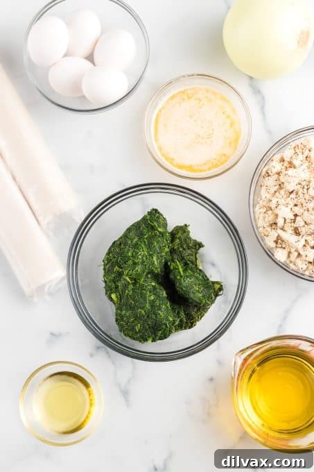 All the fresh and carefully measured ingredients laid out on a kitchen counter, ready for preparing a delicious batch of homemade Spanakopita.
