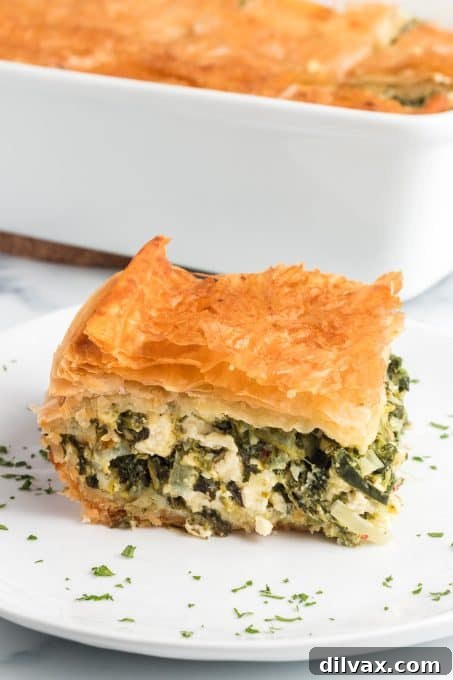 A beautifully golden-brown and perfectly baked Spanakopita, showcasing its flaky layers and inviting aroma, ready to be sliced and served.