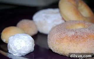 Guilt-Free Doughnut Delights 2 Warm, freshly baked doughnuts with a generous coating of cinnamon sugar