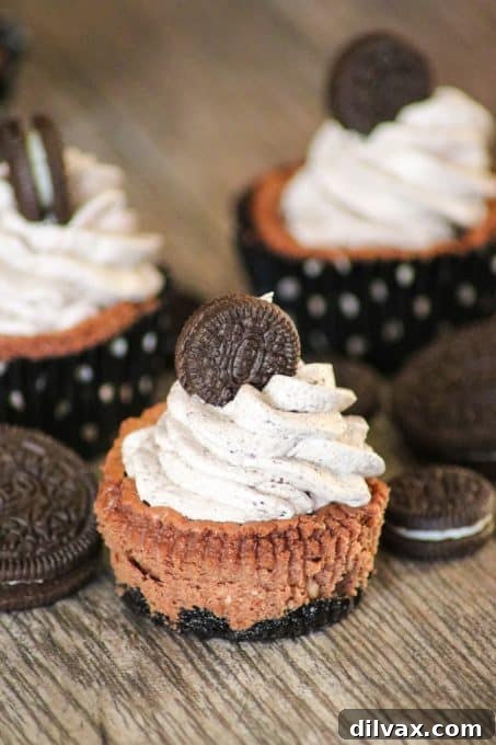 Unwrapped Chocolate Cookies and Cream Cheesecakes with regular size and mini Oreo cookies.