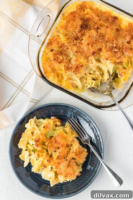 Easy casserole dinner made with tuna and noodles.