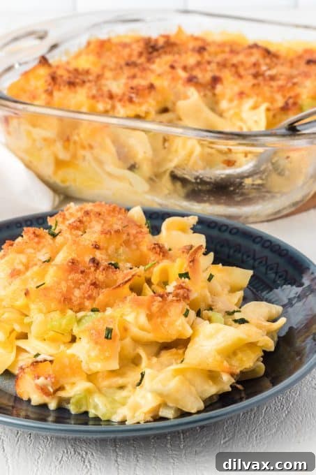 A casserole made of noodles, cheese sauce and tuna.