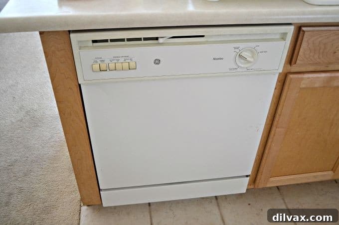 GE dishwasher filled with dishes, ready to clean up after a family dinner