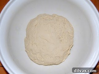 Margherita Pizza Day 36 3 Pizza dough before rising