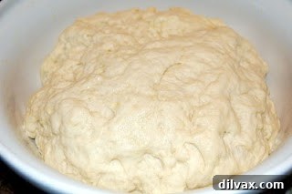 Margherita Pizza Day 36 4 Pizza dough after rising