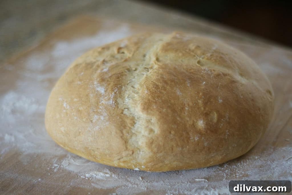 Fragrant Italian Herb & Cheese Loaf 6 Grandma's Italian Bread - an easy-to-make loaf of bread with a soft and tender outside and the perfect crunchy, slightly chewy crust.