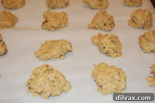 Day 28: Flu-Fighting Cookies 13 Remaining cranberries, walnuts, and raisins added to the cookie dough.