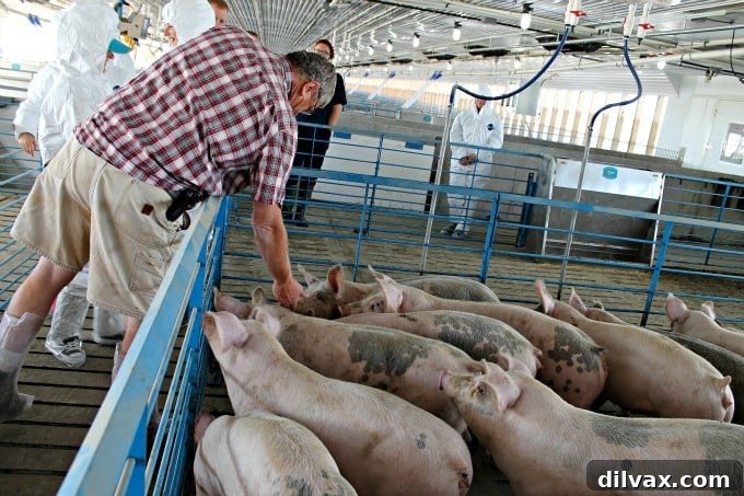 Crafting Porks Future A National Board Expedition 2 A passionate farmer overseeing his operations with dedication and care.