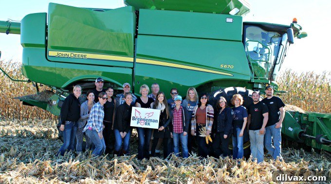 Crafting Porks Future A National Board Expedition 16 A combine harvesting corn in an expansive Iowa field, symbolizing modern agriculture.