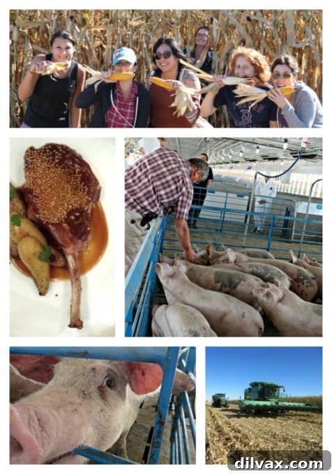 Crafting Porks Future A National Board Expedition 3 Bloggers gathered at Brenneman Farm in Iowa, ready to explore modern pork farming.