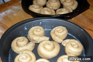Neatly shaped cinnamon roll coils arranged on a baking sheet, ready for their second rise.