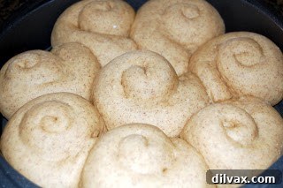Cinnamon rolls after their successful second rise, significantly larger and fluffy, ready to bake.