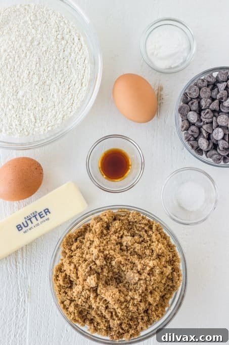 Golden Butterscotch Chocolate Chip Brownies 4 A collection of essential ingredients for making butterscotch flavored brownies with chocolate chips laid out on a surface.