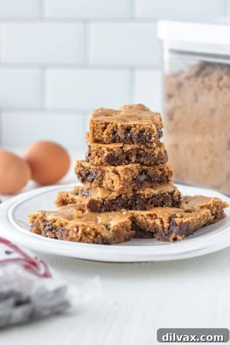 Golden Butterscotch Chocolate Chip Brownies 7 Brownies made with a butterscotch base and semi-sweet chocolate chips, cut into squares.