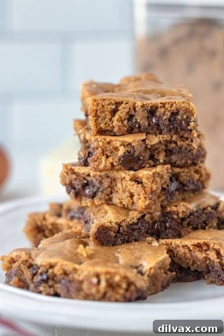 Golden Butterscotch Chocolate Chip Brownies 8 A final close-up of Butterscotch Chocolate Chip Brownies, highlighting their golden-brown edges and molten chocolate chips.