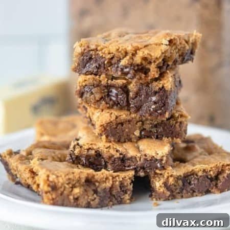 Butterscotch Chocolate Chip Brownies.