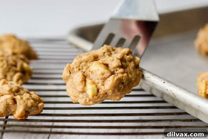 Homestyle Apple Peanut Butter Oat Treats 2 Delicious Apple Peanut Butter Oatmeal Cookies on a cooling rack
