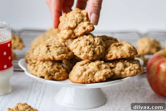 Homestyle Apple Peanut Butter Oat Treats 6 Stacked Apple Peanut Butter Oatmeal Cookies with apple slices