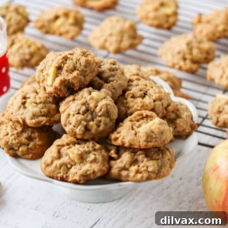 Homestyle Apple Peanut Butter Oat Treats 7 Apple Peanut Butter Oatmeal Cookies