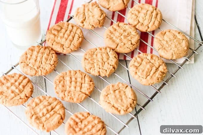 Irresistible Peanut Butter Bites 2 Freshly baked classic peanut butter cookies on a cooling rack.