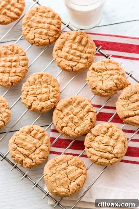 Irresistible Peanut Butter Bites 6 Stack of freshly baked classic peanut butter cookies.